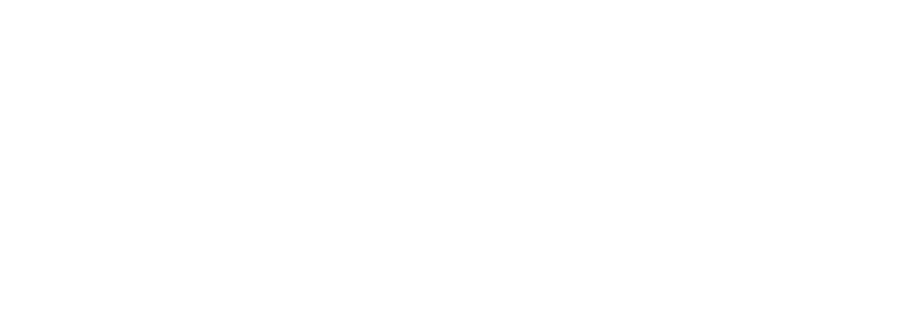 logo-pzh-f